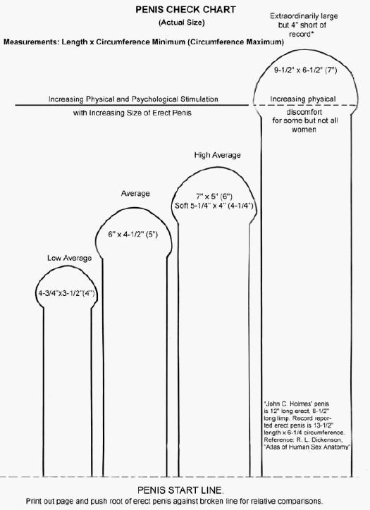 Average Penis Growth 30